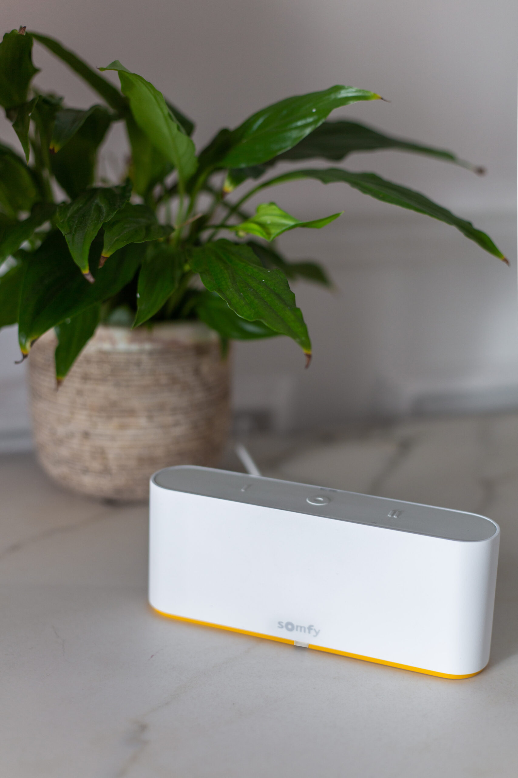 Somfy TaHoma switch - Afbeelding 5
